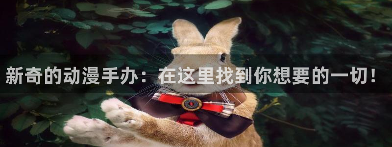 风车动漫全集